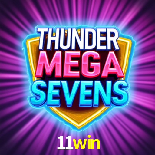 Interface Premium 11win